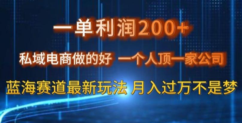 一单利润200私域电商做的好，一个人顶一家公司蓝海赛道最新玩法【揭秘】K叔网赚资源-网赚项目-副业赚钱-互联网创业-资源整合K叔网赚资源