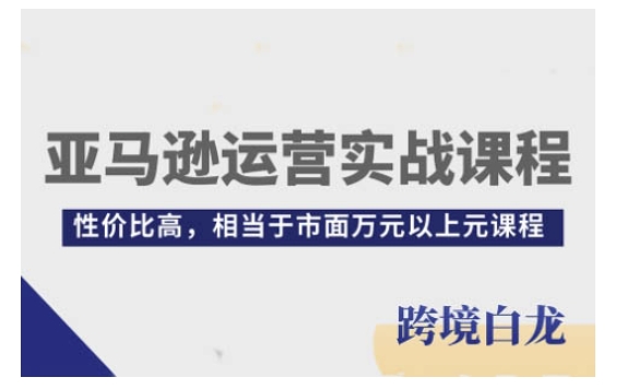 亚马逊运营实战课程，亚马逊从入门到精通，性价比高，相当于市面万元以上元课程K叔网赚资源-网赚项目-副业赚钱-互联网创业-资源整合K叔网赚资源