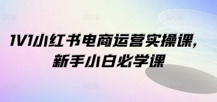 1V1小红书电商运营实操课，新手小白必学课K叔网赚资源-网赚项目-副业赚钱-互联网创业-资源整合K叔网赚资源