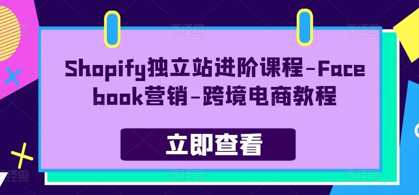 Shopify独立站进阶课程-Facebook营销-跨境电商教程K叔网赚资源-网赚项目-副业赚钱-互联网创业-资源整合K叔网赚资源