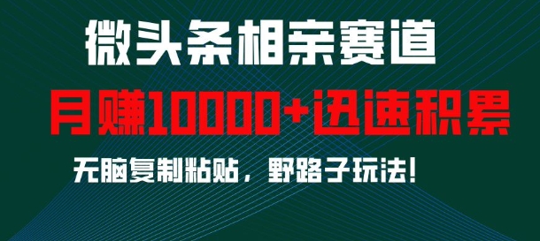 微头条相亲赛道，迅速积累，无脑复制粘贴，野路子玩法，月入1wK叔网赚资源-网赚项目-副业赚钱-互联网创业-资源整合K叔网赚资源