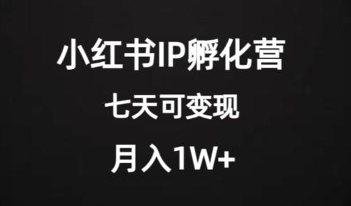 价值2000+的小红书IP孵化营项目，超级大蓝海，七天即可开始变现，稳定月入1W+K叔网赚资源-网赚项目-副业赚钱-互联网创业-资源整合K叔网赚资源
