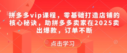 拼多多vip课程，零基础打造店铺的核心秘诀，助拼多多卖家在2025卖出爆款，订单不断K叔网赚资源-网赚项目-副业赚钱-互联网创业-资源整合K叔网赚资源