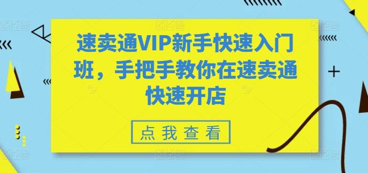 速卖通VIP新手快速入门班，手把手教你在速卖通快速开店K叔网赚资源-网赚项目-副业赚钱-互联网创业-资源整合K叔网赚资源