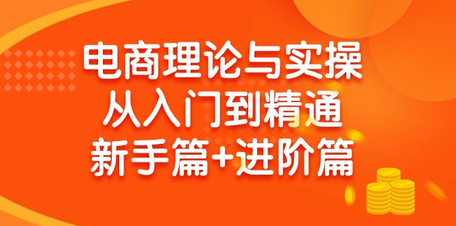 (9576期)电商理论与实操从入门到精通 新手篇+进阶篇K叔网赚资源-网赚项目-副业赚钱-互联网创业-资源整合K叔网赚资源