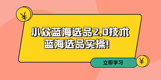 拼多多培训第33期：小众蓝海选品2.0技术-蓝海选品实操！K叔网赚资源-网赚项目-副业赚钱-互联网创业-资源整合K叔网赚资源