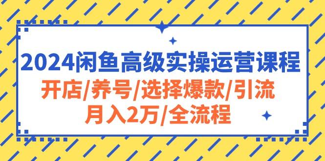 2024闲鱼高级实操运营课程：开店/养号/选择爆款/引流/月入2万/全流程K叔网赚资源-网赚项目-副业赚钱-互联网创业-资源整合K叔网赚资源