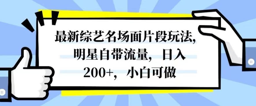 最新综艺名场面片段玩法，明星自带流量，日入200+，小白可做【揭秘】K叔网赚资源-网赚项目-副业赚钱-互联网创业-资源整合K叔网赚资源