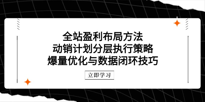 全站盈利布局方法：动销计划分层执行策略，爆量优化与数据闭环技巧K叔网赚资源-网赚项目-副业赚钱-互联网创业-资源整合K叔网赚资源