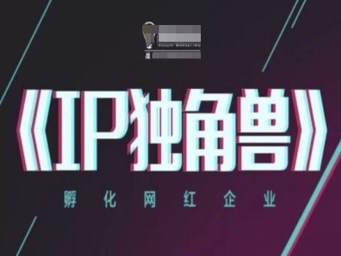 IP独角兽，孵化网红企业，ip教程K叔网赚资源-网赚项目-副业赚钱-互联网创业-资源整合K叔网赚资源