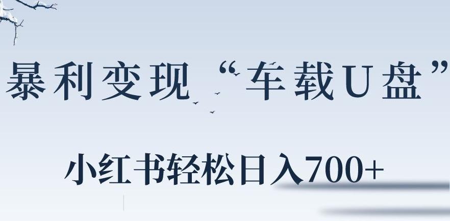 小红书“车载U盘”暴利引流，日入700+K叔网赚资源-网赚项目-副业赚钱-互联网创业-资源整合K叔网赚资源