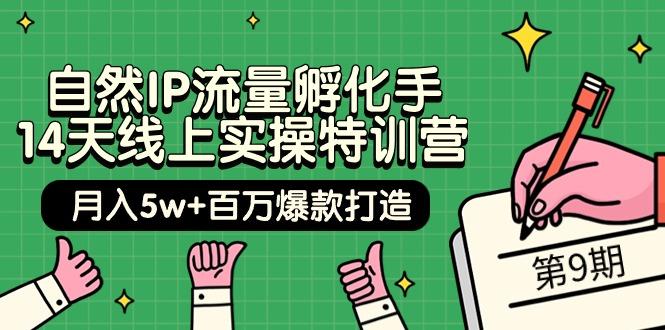 (9881期)自然IP流量孵化手 14天线上实操特训营【第9期】月入5w+百万爆款打造 (74节)K叔网赚资源-网赚项目-副业赚钱-互联网创业-资源整合K叔网赚资源