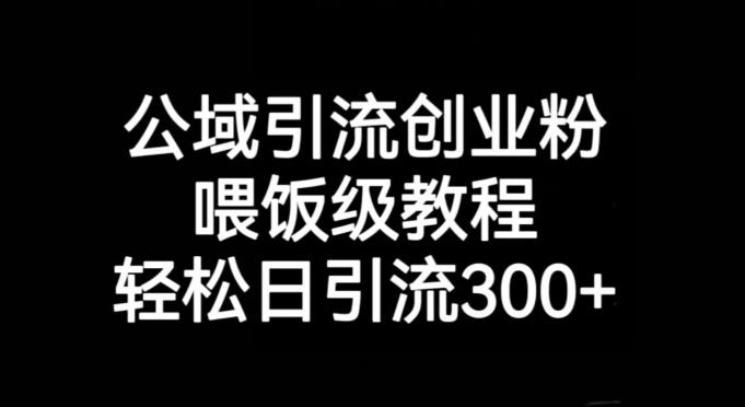 公域引流创业粉，喂饭级教程，轻松日引流300+【揭秘】K叔网赚资源-网赚项目-副业赚钱-互联网创业-资源整合K叔网赚资源