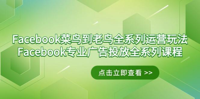 Facebook-菜鸟到老鸟全系列运营玩法+Facebook-专业广告投放全系列课程K叔网赚资源-网赚项目-副业赚钱-互联网创业-资源整合K叔网赚资源