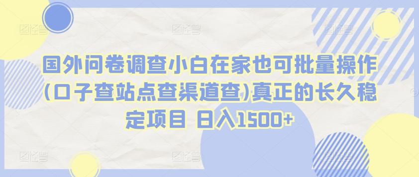 国外问卷调查小白在家也可批量操作(口子查站点查渠道查)真正的长久稳定项目 日入1500+【揭秘】K叔网赚资源-网赚项目-副业赚钱-互联网创业-资源整合K叔网赚资源