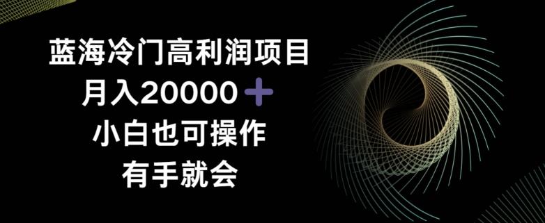 蓝海冷门高利润项目月入2000，小白也可操作有手就会K叔网赚资源-网赚项目-副业赚钱-互联网创业-资源整合K叔网赚资源
