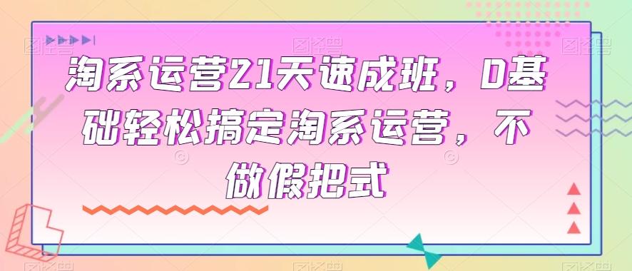 淘系运营21天速成班，0基础轻松搞定淘系运营，不做假把式K叔网赚资源-网赚项目-副业赚钱-互联网创业-资源整合K叔网赚资源
