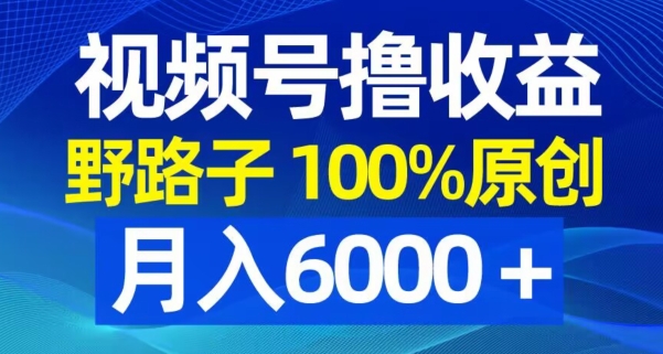 视频号野路子撸收益，100%原创，条条爆款，月入6000＋【揭秘】K叔网赚资源-网赚项目-副业赚钱-互联网创业-资源整合K叔网赚资源