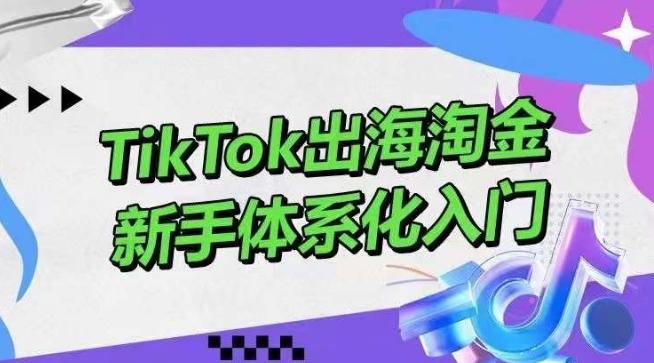 TikTok出海淘金，新手体系化入门，零基础快速入门，掌握短视频、直播带货等引流到变现的知识K叔网赚资源-网赚项目-副业赚钱-互联网创业-资源整合K叔网赚资源
