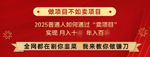 必看，做项目不如卖项目，2025普通人如何通过“卖项目”实现月入十个，年入百个K叔网赚资源-网赚项目-副业赚钱-互联网创业-资源整合K叔网赚资源
