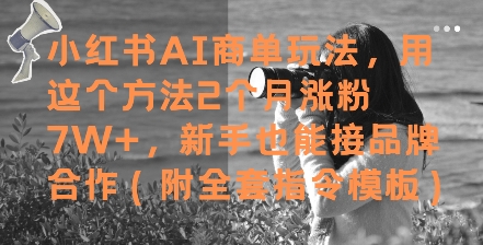 小红书AI商单玩法，用这个方法2个月涨粉7W+，新手也能接品牌合作(附全套指令模板)K叔网赚资源-网赚项目-副业赚钱-互联网创业-资源整合K叔网赚资源