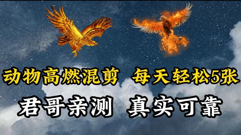 动物超燃混剪，每天轻松5张，剪辑简单大家爱看【揭秘】K叔网赚资源-网赚项目-副业赚钱-互联网创业-资源整合K叔网赚资源