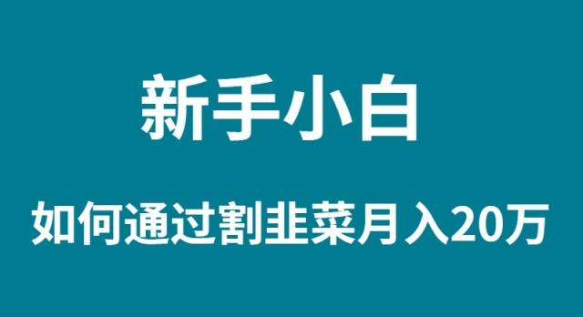 (9308期)新手小白如何通过割韭菜月入 20WK叔网赚资源-网赚项目-副业赚钱-互联网创业-资源整合K叔网赚资源