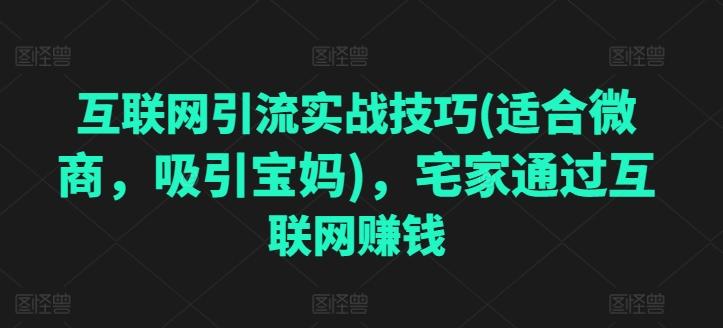 互联网引流实战技巧(适合微商，吸引宝妈)，宅家通过互联网赚钱K叔网赚资源-网赚项目-副业赚钱-互联网创业-资源整合K叔网赚资源
