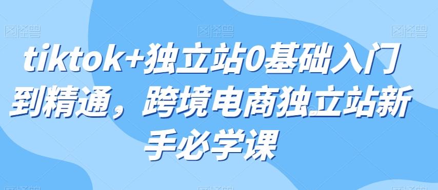 tiktok+独立站0基础入门到精通，跨境电商独立站新手必学课K叔网赚资源-网赚项目-副业赚钱-互联网创业-资源整合K叔网赚资源