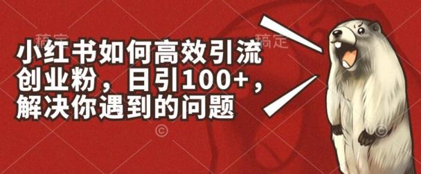 小红书如何高效引流创业粉，日引100+，解决你遇到的问题【揭秘】K叔网赚资源-网赚项目-副业赚钱-互联网创业-资源整合K叔网赚资源