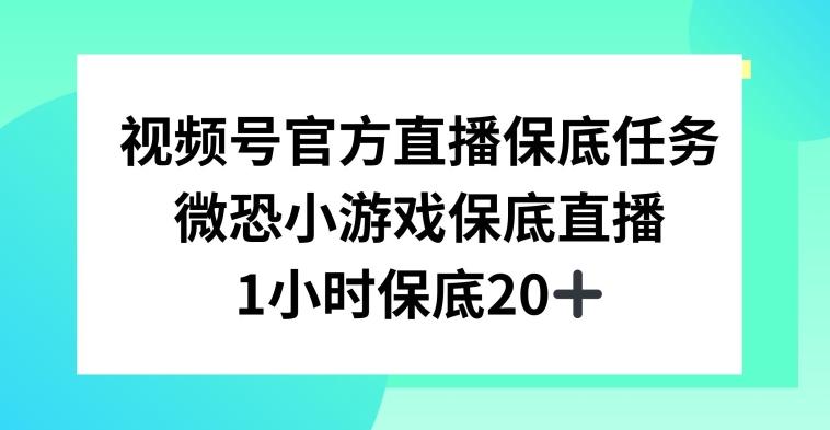 视频号直播任务，微恐小游戏，1小时20+【揭秘】K叔网赚资源-网赚项目-副业赚钱-互联网创业-资源整合K叔网赚资源