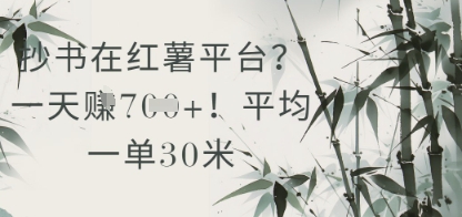 抄书在小红薯平台？平均一单30米，一天收益几张！K叔网赚资源-网赚项目-副业赚钱-互联网创业-资源整合K叔网赚资源