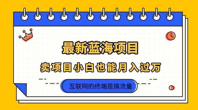 2025年最新蓝海项目，卖项目小白也能月入过万K叔网赚资源-网赚项目-副业赚钱-互联网创业-资源整合K叔网赚资源