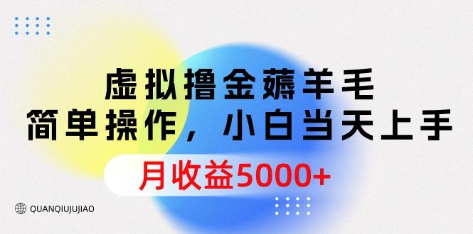 (9864期)虚拟撸金薅羊毛，简单操作，小白当天上手，月收益5000+K叔网赚资源-网赚项目-副业赚钱-互联网创业-资源整合K叔网赚资源