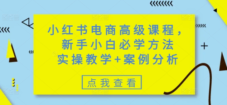 小红书电商高级课程，新手小白必学方法，实操教学+案例分析K叔网赚资源-网赚项目-副业赚钱-互联网创业-资源整合K叔网赚资源