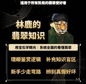 林鹿的翡翠知识，​用宝石眼光，系统全面的看懂翡翠K叔网赚资源-网赚项目-副业赚钱-互联网创业-资源整合K叔网赚资源