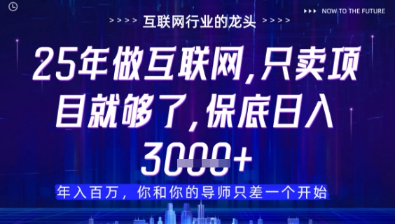 什么！25年你还在找项目做？风口早就变了，卖项目才是稳挣不赔【揭秘】K叔网赚资源-网赚项目-副业赚钱-互联网创业-资源整合K叔网赚资源