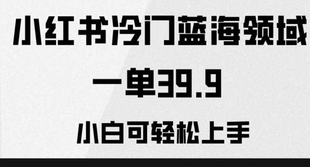 小红书冷门蓝海领域，一单39.9，小白可轻松上手K叔网赚资源-网赚项目-副业赚钱-互联网创业-资源整合K叔网赚资源