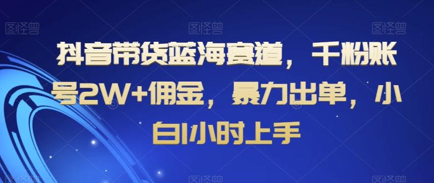 抖音带货蓝海赛道，千粉账号2W+佣金，暴力出单，小白1小时上手【揭秘】K叔网赚资源-网赚项目-副业赚钱-互联网创业-资源整合K叔网赚资源