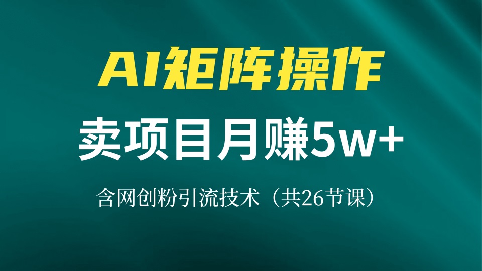 网创IP打造课，借助AI卖项目月赚5万+，含引流技术(共26节课K叔网赚资源-网赚项目-副业赚钱-互联网创业-资源整合K叔网赚资源