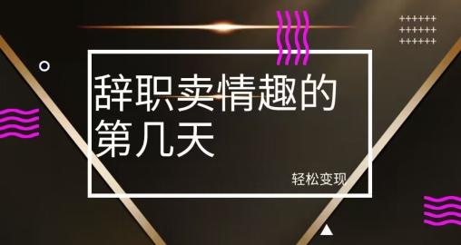 冷门赛道，辞职卖情趣的第几天，超暴力项目K叔网赚资源-网赚项目-副业赚钱-互联网创业-资源整合K叔网赚资源