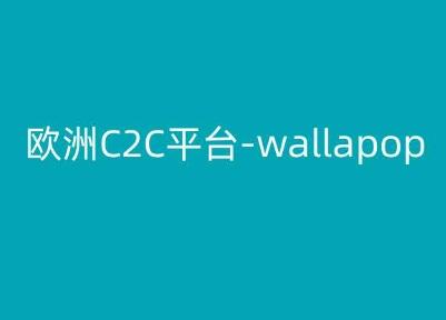 欧洲C2C平台-wallapop-kim跨境电商教程K叔网赚资源-网赚项目-副业赚钱-互联网创业-资源整合K叔网赚资源