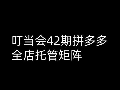 叮当会拼多多打爆班原创高阶技术第42期，拼多多全店托管矩阵K叔网赚资源-网赚项目-副业赚钱-互联网创业-资源整合K叔网赚资源