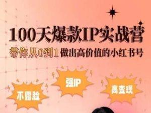 小红书100天爆款IP实战营，带你从0到1做出高价值的小红书号K叔网赚资源-网赚项目-副业赚钱-互联网创业-资源整合K叔网赚资源