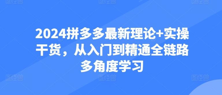 2024拼多多最新理论+实操干货，从入门到精通全链路多角度学习K叔网赚资源-网赚项目-副业赚钱-互联网创业-资源整合K叔网赚资源