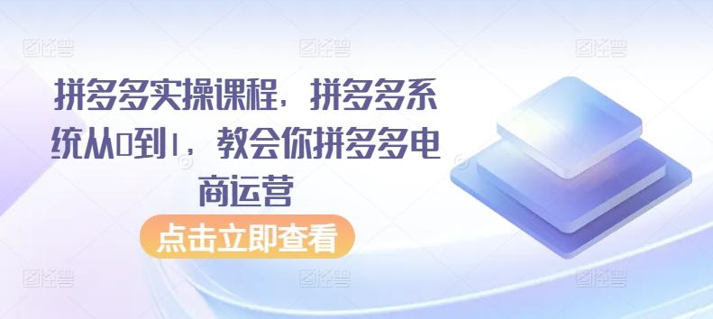 拼多多实操课程，拼多多系统从0到1，教会你拼多多电商运营K叔网赚资源-网赚项目-副业赚钱-互联网创业-资源整合K叔网赚资源