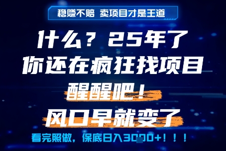 什么？25年你还在疯狂找项目做，醒醒吧，看完这些你全都懂了！【揭秘】K叔网赚资源-网赚项目-副业赚钱-互联网创业-资源整合K叔网赚资源