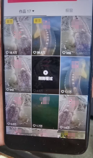 外面卖399的国学佛像原创暴力起号技术，快速起号，7天可达到一个万粉号K叔网赚资源-网赚项目-副业赚钱-互联网创业-资源整合K叔网赚资源