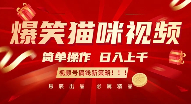 爆笑猫咪视频：简单操作，日入过K，视频号搞钱新策略【揭秘】K叔网赚资源-网赚项目-副业赚钱-互联网创业-资源整合K叔网赚资源