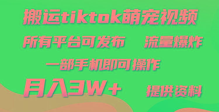 (9618期)搬运Tiktok萌宠类视频，一部手机即可。所有短视频平台均可操作，月入3W+K叔网赚资源-网赚项目-副业赚钱-互联网创业-资源整合K叔网赚资源